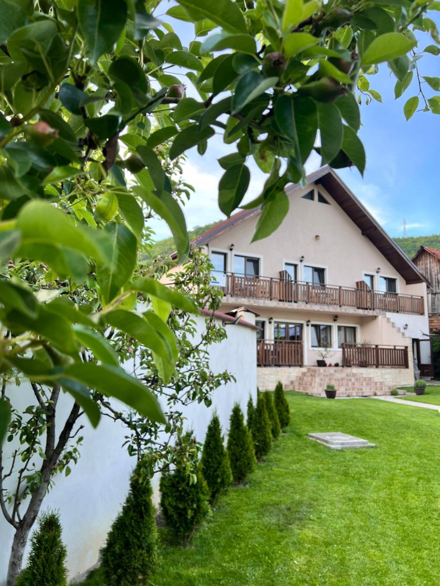 Casa Alexandra Villa Szebengálos Kültér fotó