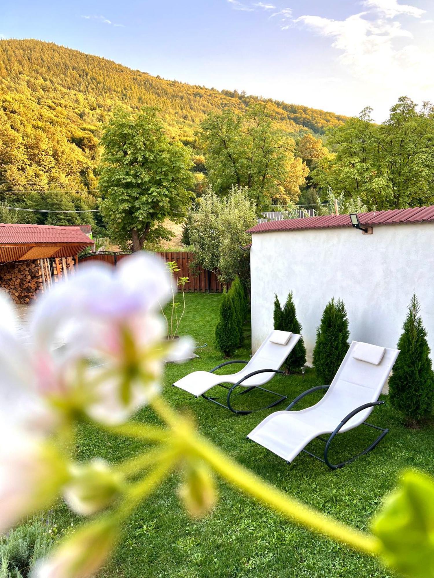 Casa Alexandra Villa Szebengálos Kültér fotó